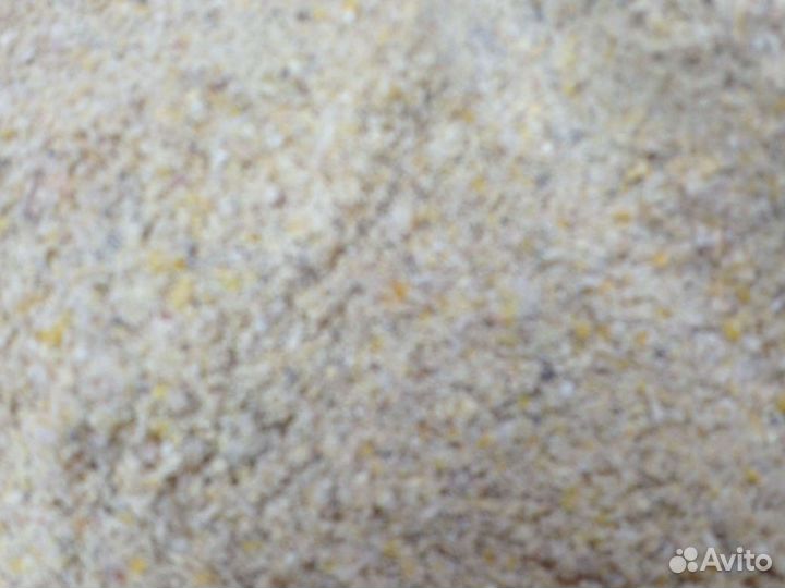 Ячмень,овес,лен пшеница семенная