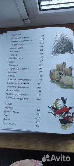 Энциклопедия. Большая книга знаний для детей