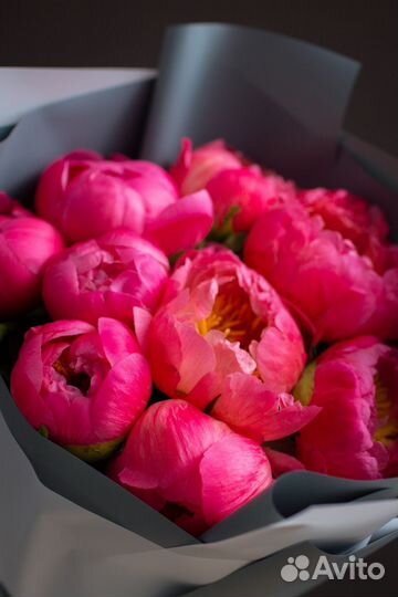 Букет из 9 коралловых пионов