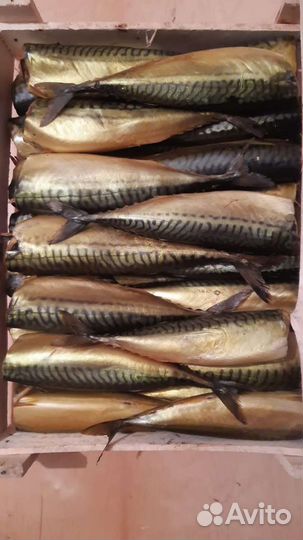 Рыба горячего и холодного копчения