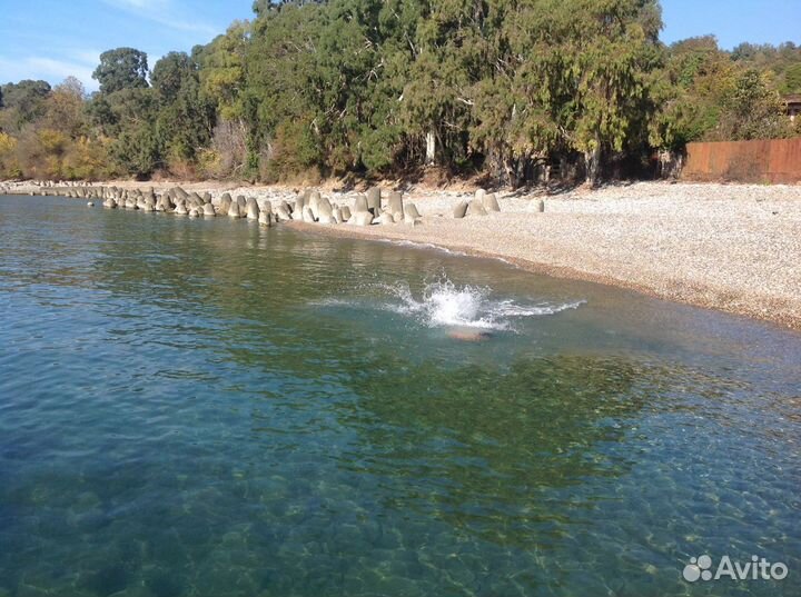 Отдых в Абхазии