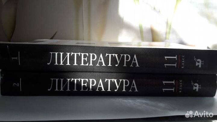 Учебник Литература 11 класс в 2х томах