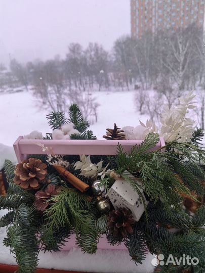 Композиции из нобилиса