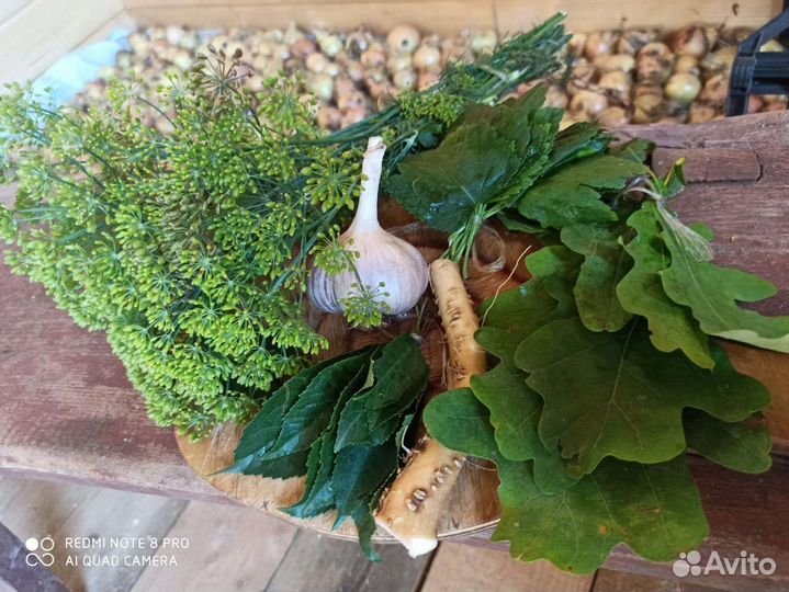 Набор для засолки/соленья