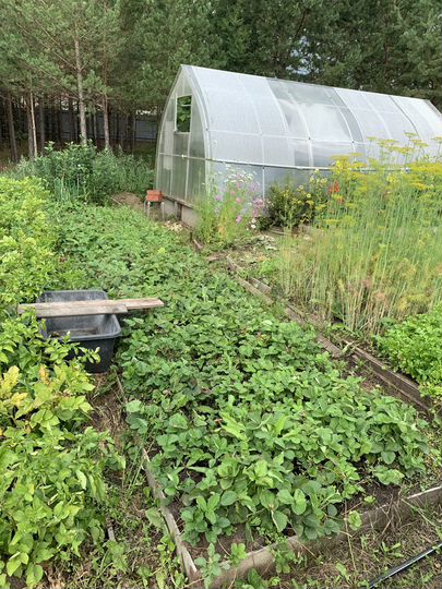 Участок 30 сот. (ИЖС)