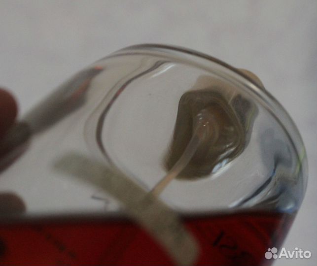 Calvin Klein Obsession