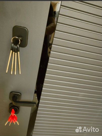 Дверь входная горизонталь нео