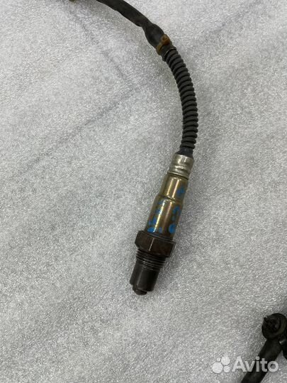 Лямбда зонд Ауди А4 8Е Ауди А6 С6