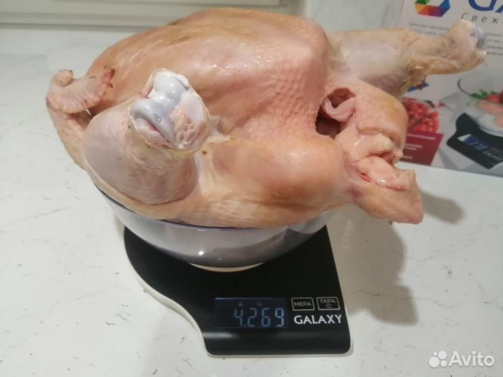 Тушки бролеров