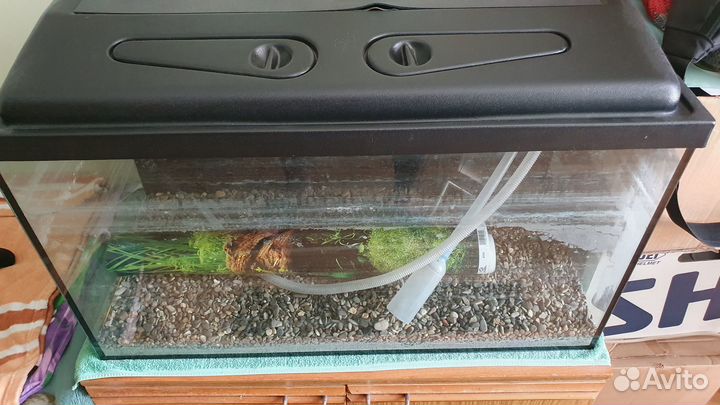 Аквариум