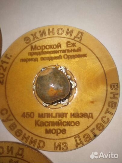 Окаменелости