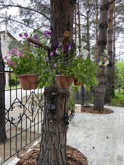 Коттедж 419 м² на участке 23 сот.