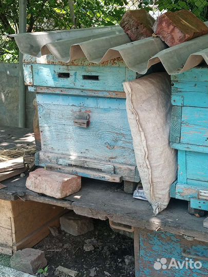 Ульи для пчел, дадан с рамками