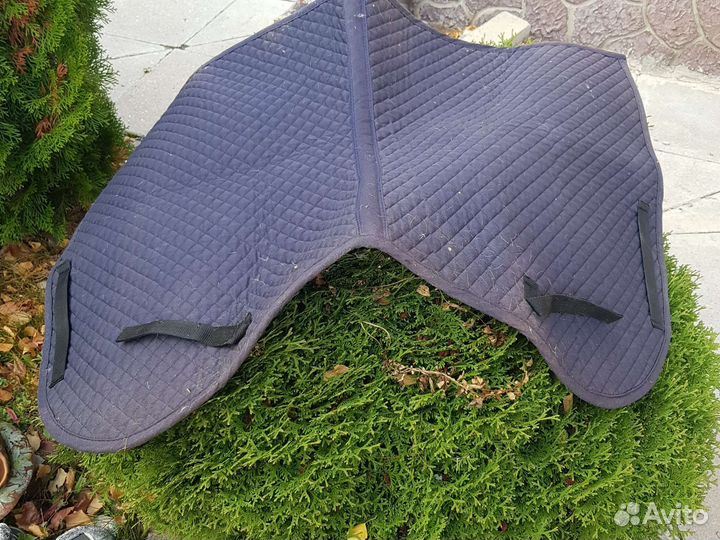 Недоуздок, щётка, скребок, вольтрап