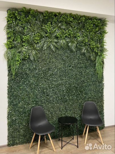 Папоротник