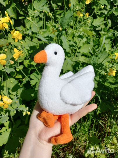 Гусь до всех доберусь