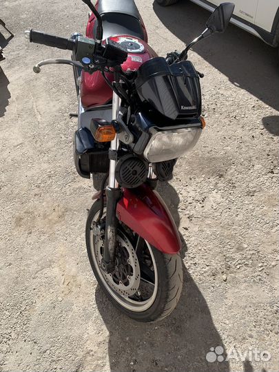 Kawasaki xanthus