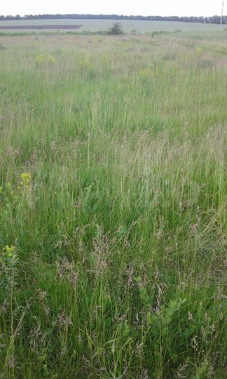 Участок 18 сот. (ИЖС)