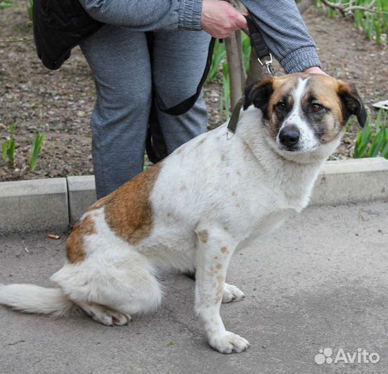 Особенная Лиза ищет дом