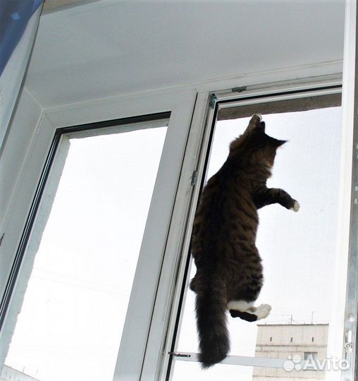 Москитная сетка антикошка на окно