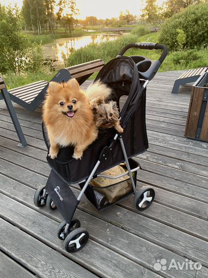 Коляска для собак
