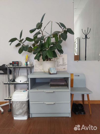 Педикюрное кресло, мебель