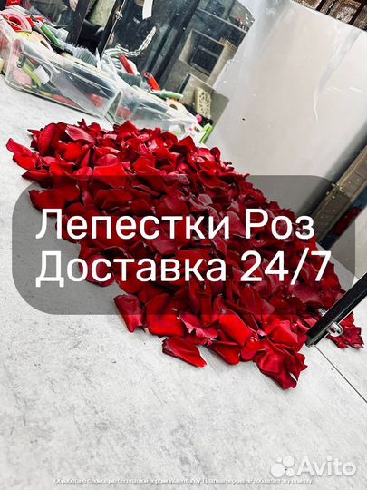 Лепестки роз красные