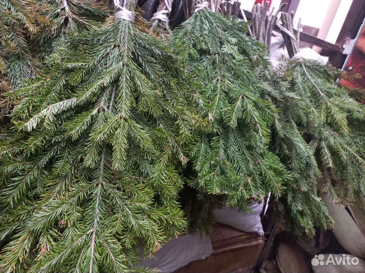 Веники для бани дуб береза