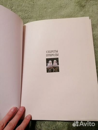 Книга Секреты природы, Ридерз дайджест, 1999