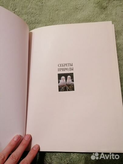 Книга Секреты природы, Ридерз дайджест, 1999