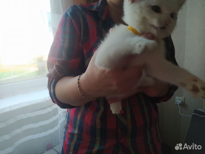 В самые добрые ручки