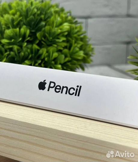 Apple pencil 2 (NEW 2024)