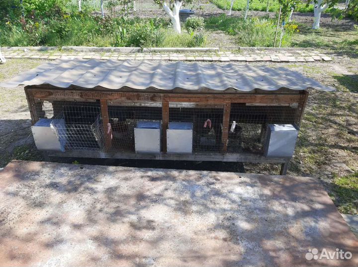 Крольчатник с родильней