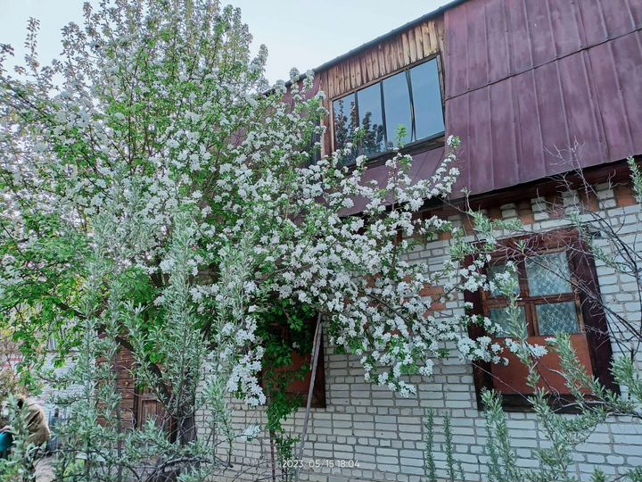 Дача 56 м² на участке 5 сот.