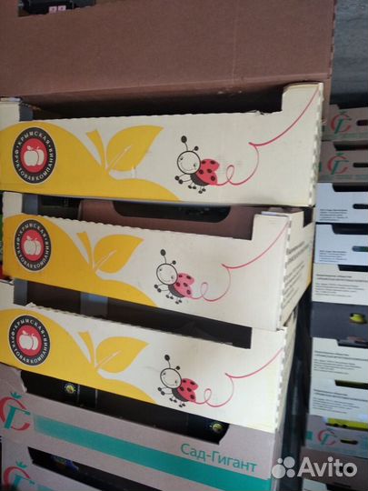 Пластиковая,картонная тара пищевая,банановые паки