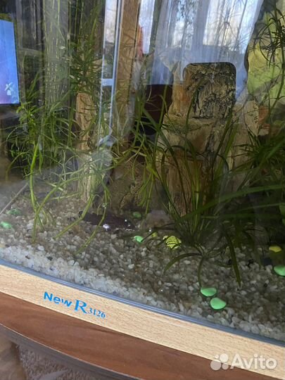 Аквариум Jebo R3126