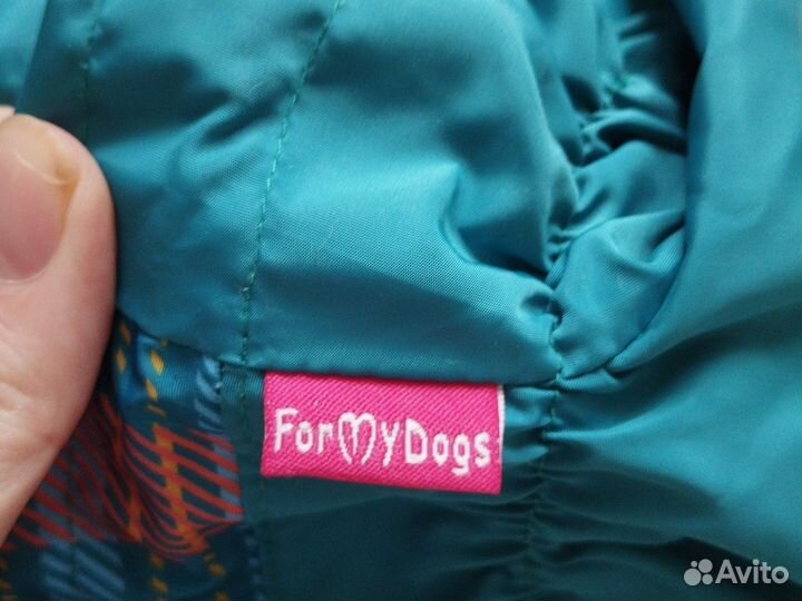 Одежда для средних собак