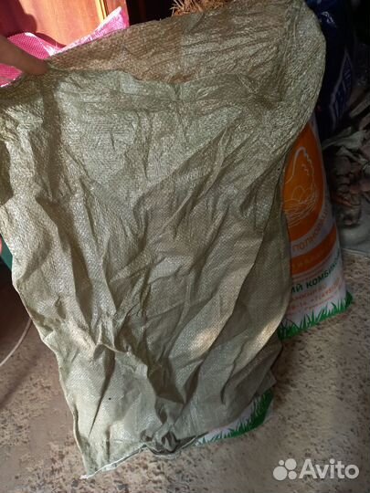 Хвойный опад