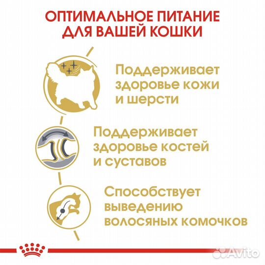 Royal Canin сухой для взрослых кошек породы Сибирс