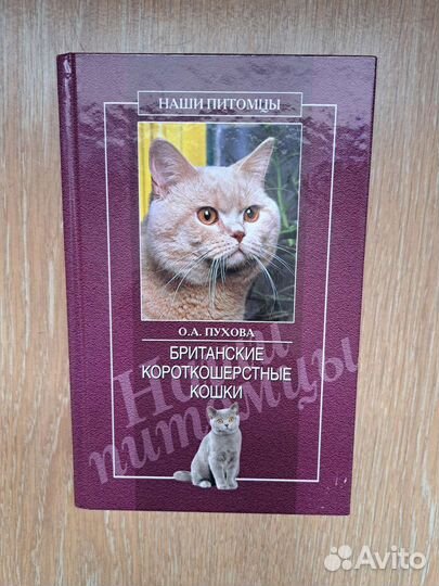 Книга британские кошки