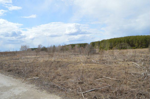 Участок 16,6 сот. (ИЖС)