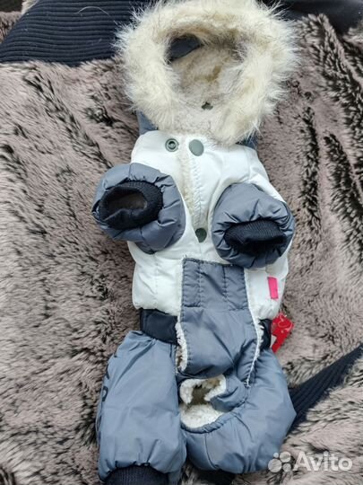 Комбинезон для маленькой собаки новый