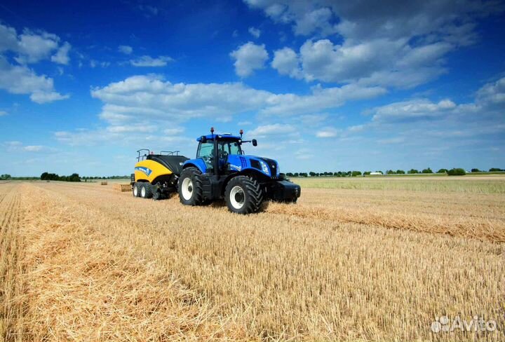 Удостоверение, права тракториста-машиниста