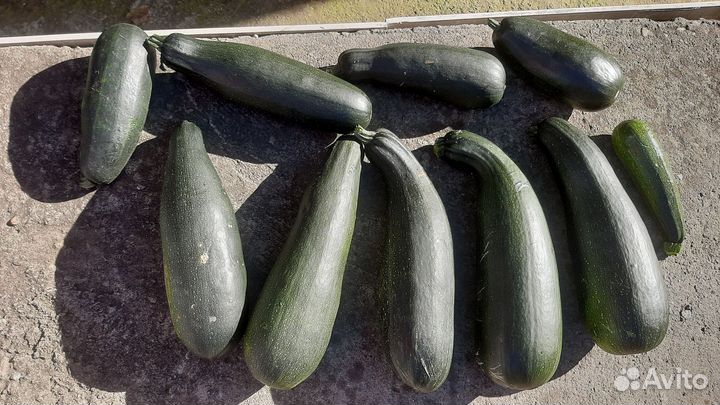 Кабачки цукини