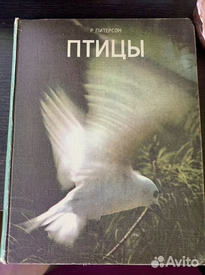 Книги о птицах