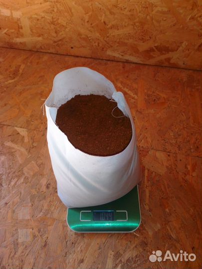 Чага березовая от сборщика