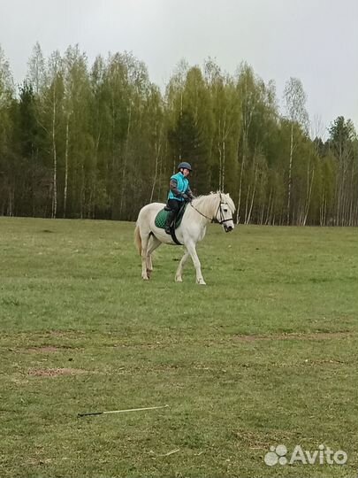 Постой для лошадей