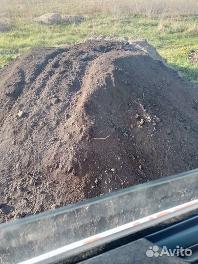 Чернозем (торф )