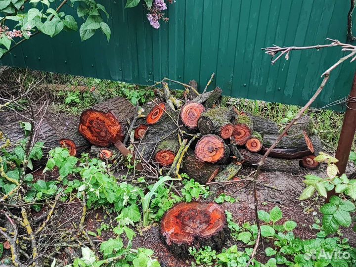 Покос травы