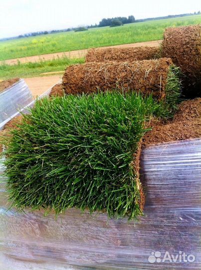 Рулонный газон с гарантией от производителя